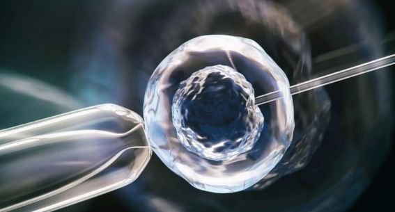 Best IVF & Fertility Specialist in PCMC, Pimpri Chinchwad