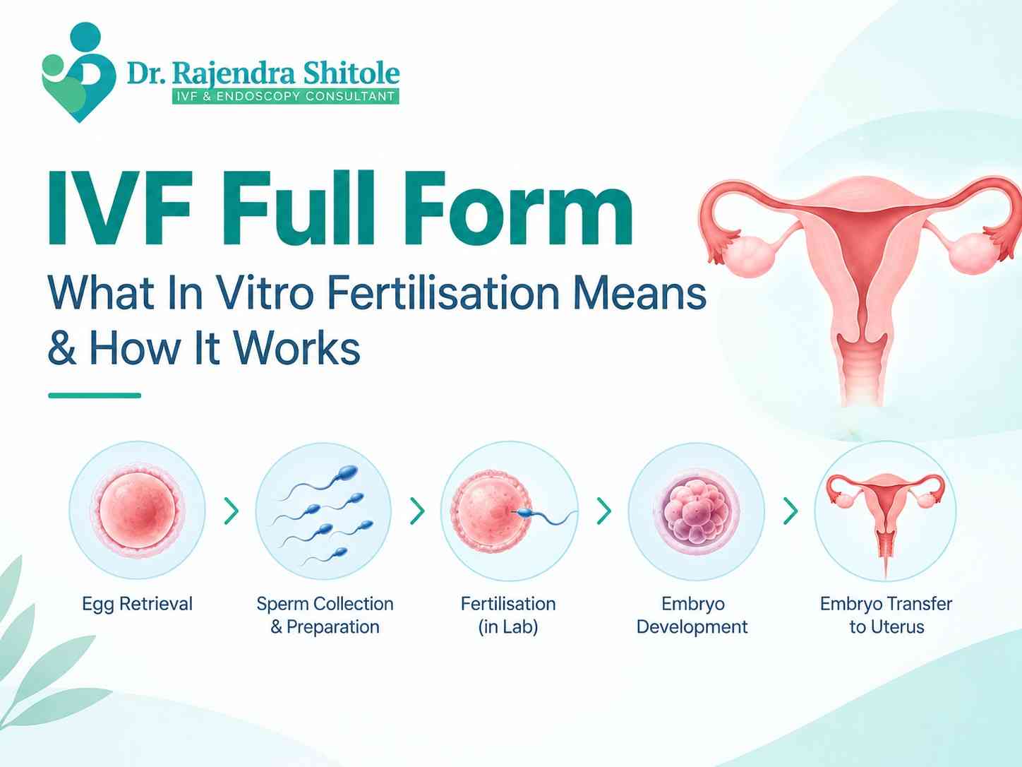IVF Full Form: What In Vitro Fertilisation Means and How It Works